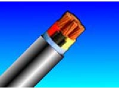 額定電壓0.6/1kV聚氯乙烯絕緣聚氯乙烯護(hù)套電力電纜