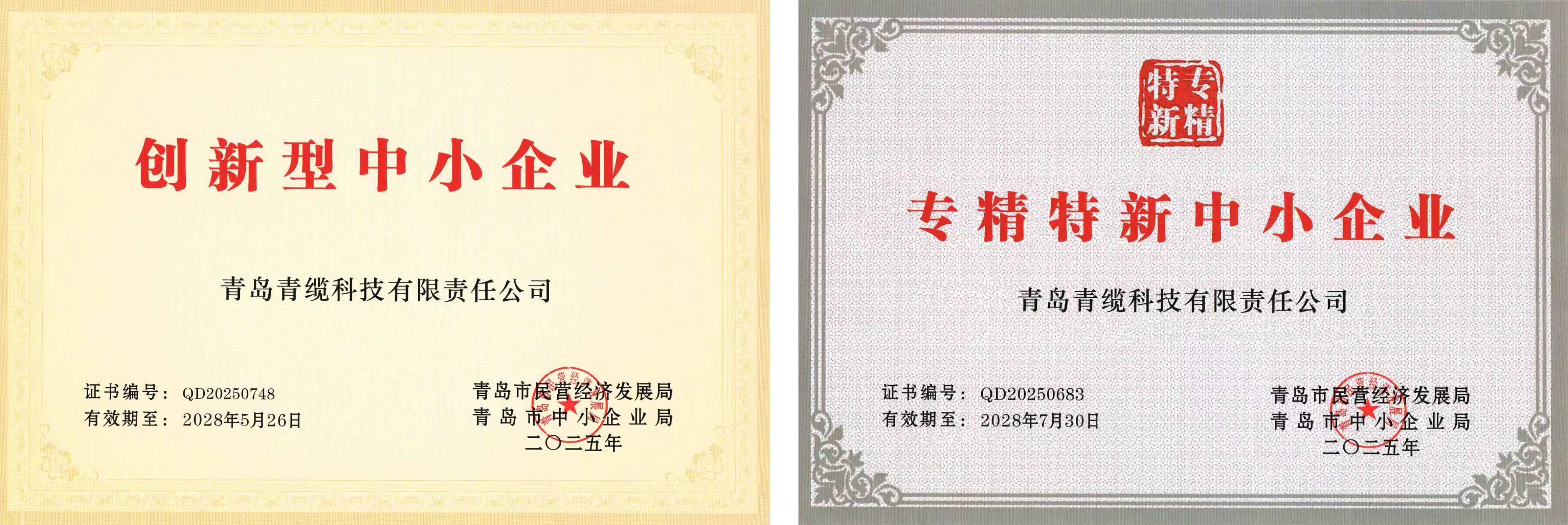 青纜獲評(píng)“創(chuàng)新型中小企業(yè)”并順利通過(guò)“專精特新中小企業(yè)”復(fù)評(píng)(圖1)